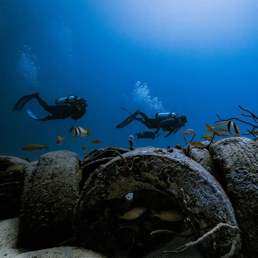 4ocean foundation-osbourne reef-1