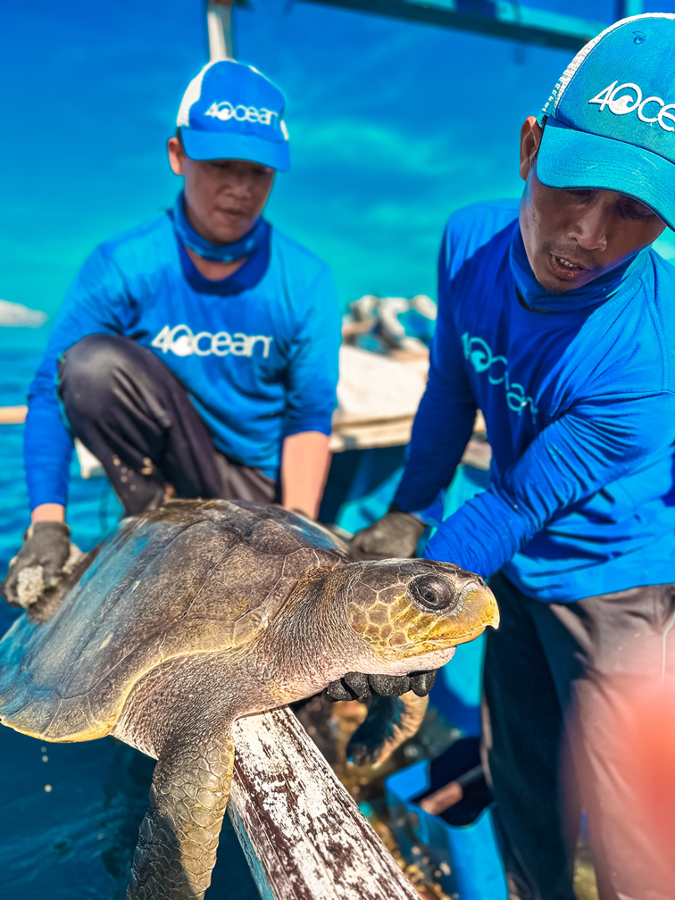rescuing a turtle from ocean plastic pollution