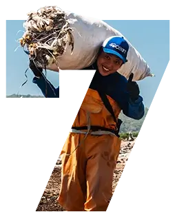 7